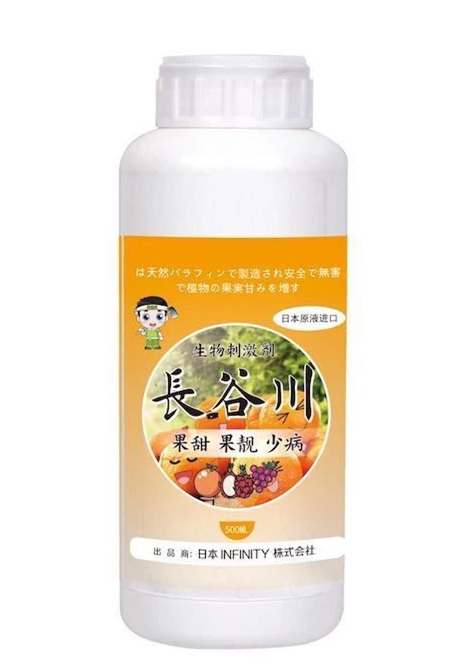 长谷川